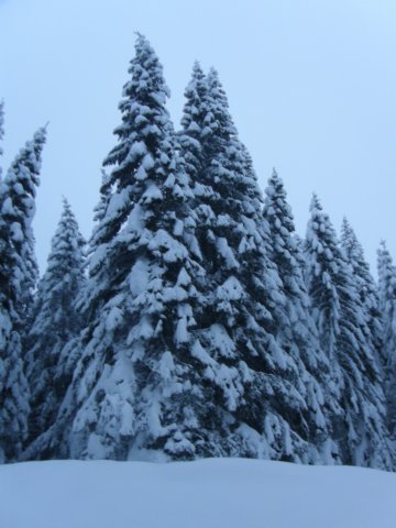 lavaronemoresnow74.jpg