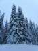 lavaronemoresnow74_small.jpg