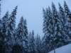 lavaronemoresnow76_small.jpg