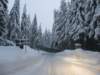 lavaronemoresnow77_small.jpg