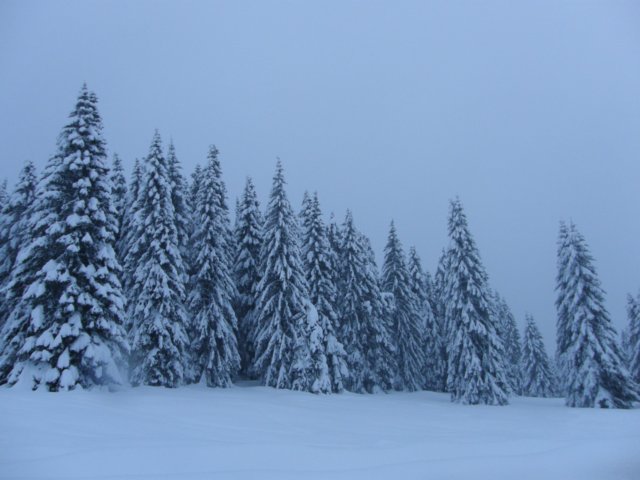lavaronemoresnow80.jpg