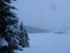 lavaronemoresnow81_small.jpg