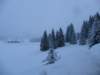 lavaronemoresnow83_small.jpg