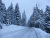 lavaronemoresnow84_small.jpg