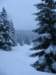 lavaronemoresnow85_small.jpg