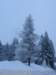 lavaronemoresnow86_small.jpg