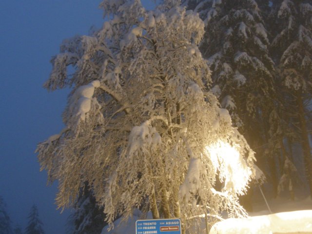lavaronemoresnow88.jpg