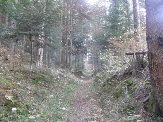 lavaroneautumninthewood10.jpg
