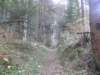lavaroneautumninthewood10_small.jpg