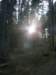 lavaroneautumninthewood14_small.jpg