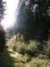 lavaroneautumninthewood15_small.jpg