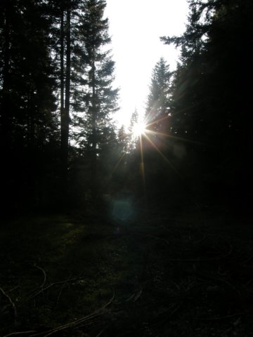 lavaroneautumninthewood18.jpg