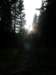 lavaroneautumninthewood18_small.jpg