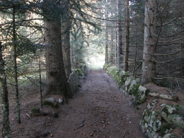 lavaroneautumninthewood19.jpg