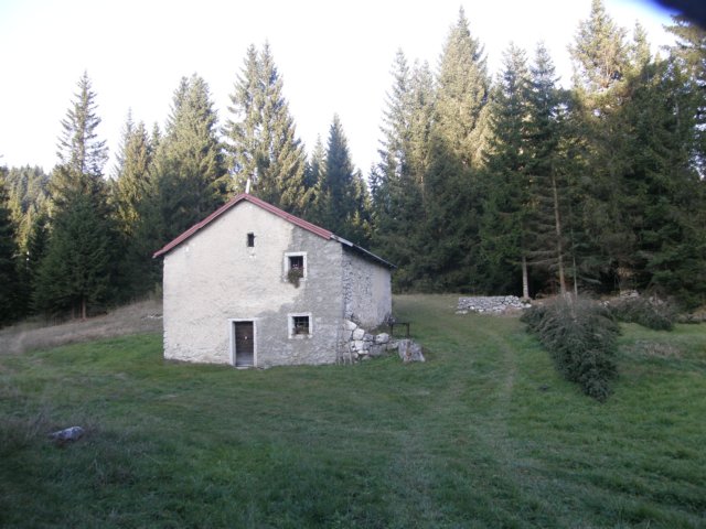 lavaroneautumninthewood21.jpg