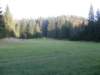 lavaroneautumninthewood22_small.jpg
