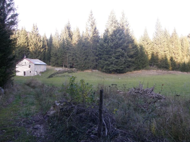 lavaroneautumninthewood23.jpg