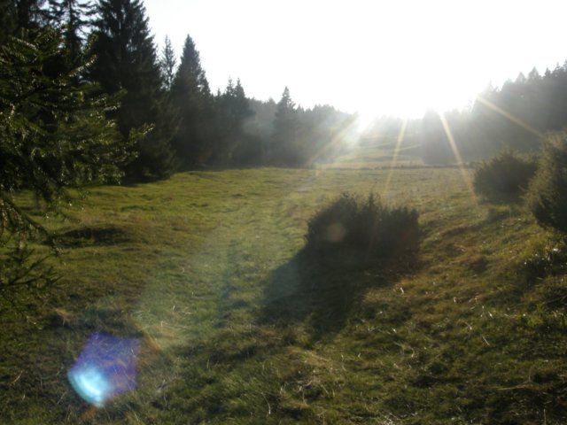 lavaroneautumninthewood25.jpg