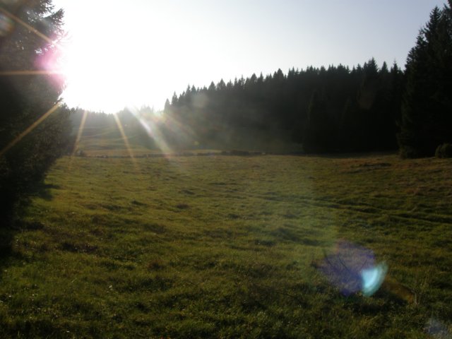 lavaroneautumninthewood26.jpg
