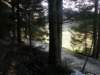 lavaroneautumninthewood27_small.jpg