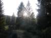 lavaroneautumninthewood28_small.jpg
