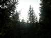 lavaroneautumninthewood29_small.jpg