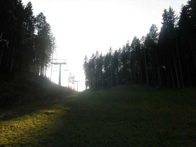 lavaroneautumninthewood3.jpg