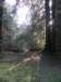 lavaroneautumninthewood30_small.jpg