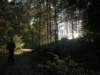 lavaroneautumninthewood31_small.jpg