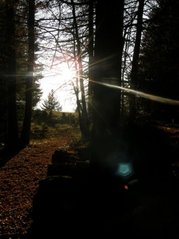 lavaroneautumninthewood32.jpg