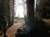 lavaroneautumninthewood33_small.jpg