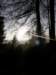lavaroneautumninthewood34_small.jpg