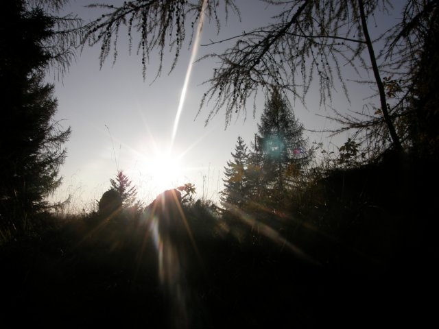 lavaroneautumninthewood35.jpg
