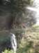 lavaroneautumninthewood37_small.jpg
