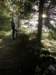lavaroneautumninthewood38_small.jpg