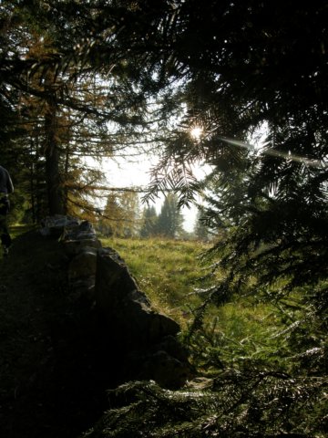 lavaroneautumninthewood39.jpg