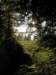 lavaroneautumninthewood39_small.jpg