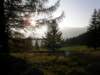 lavaroneautumninthewood40_small.jpg