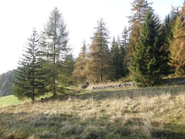 lavaroneautumninthewood41.jpg