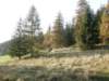 lavaroneautumninthewood41_small.jpg