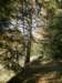 lavaroneautumninthewood44_small.jpg