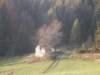 lavaroneautumninthewood46_small.jpg