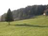 lavaroneautumninthewood47_small.jpg