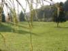 lavaroneautumninthewood48_small.jpg