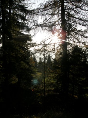 lavaroneautumninthewood49.jpg