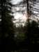 lavaroneautumninthewood49_small.jpg