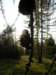 lavaroneautumninthewood51_small.jpg