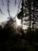 lavaroneautumninthewood52_small.jpg