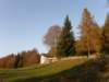 lavaroneautumninthewood56_small.jpg