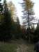lavaroneautumninthewood57_small.jpg